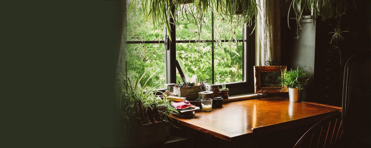 A warm wooden writing desk positioned in front of a large window with green foliage visible outside. Several small potted plants and books are arranged on the desk, with a dark chair partially visible on the right side.