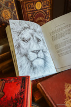 An open vintage-style book spread showing a detailed pencil sketch of a lion on the left page and printed text on the right, surrounded by other antique-looking books in a warm, rustic setting.