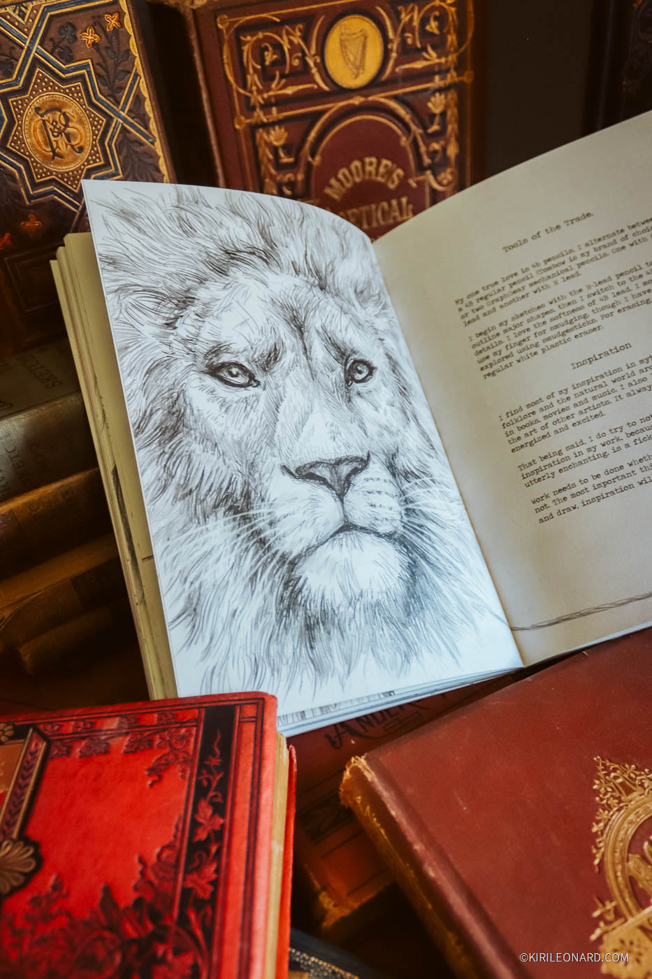An open vintage-style book spread showing a detailed pencil sketch of a lion on the left page and printed text on the right, surrounded by other antique-looking books in a warm, rustic setting.